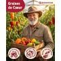 ZenGreens® Kit de Graines de Poivron bio - 6 variétés anciennes - Semences | de doux à relevé, croquant & aromatique, idée cadea