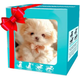 Nouveau Chien Robot 2025 pour Adultes, Chien Robot Intelligent, Chien Robotique IA, Chien Robotique Réaliste pour Fêtes, Cadeaux