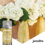 JENOLITE Lot de 2 laques transparentes pailletées argentées et dorées | 2 x 400 ml | Parfait pour ajouter de l'éclat aux cadres,