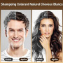 Shampoing Colorant Chatain Foncé, Shampooing Teinture Cheveux, Hair Shampoo | Hair Dye Shampoo 3 in 1, Shampoing Cheveux Colorés