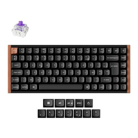 Keychron K2 HE Clavier sans Fil 2,4 GHz, 75% Clavier Gamer AZERTY Français, RGB, Hot-Swap, QMK/Via, Interrupteurs Magnétique Gat