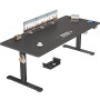 TRIUMPHKEY Bureau Assis Debout Électrique 200×80 cm, 3 Mémoires, Noir | Port USB-A, Anti-Collision, Rappel Sédentaire, Charge 70