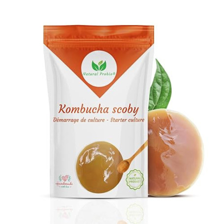 Natural Probio® Scoby Kombucha, Mère de Kombucha, Kit Fabriqué en France | Mère réutilisable à l'infini, souche non pasteurisée,