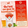 Natural Probio® Scoby Kombucha, Mère de Kombucha, Kit Fabriqué en France | Mère réutilisable à l'infini, souche non pasteurisée,