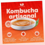 Natural Probio® Scoby Kombucha, Mère de Kombucha, Kit Fabriqué en France | Mère réutilisable à l'infini, souche non pasteurisée,