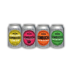 MUN KOMBUCHA ORGANIC - Pack Mix 12 x 330 ml | Thé Kombucha biologique et probiotique naturel | Sans sucre et faible teneur en ca