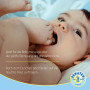 Penaten - Huile pour bébé - 500 ml | Huile nettoyante et massante, sans parabènes et sans colorant, pour nouveau-nés