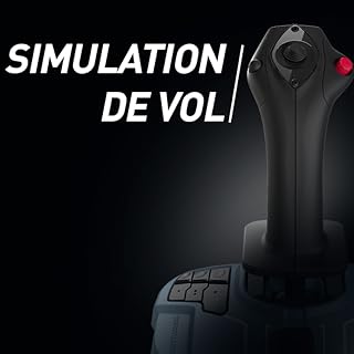 Simulation de vol